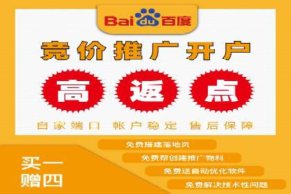 竞价SEM案例解析：电商行业营销策略